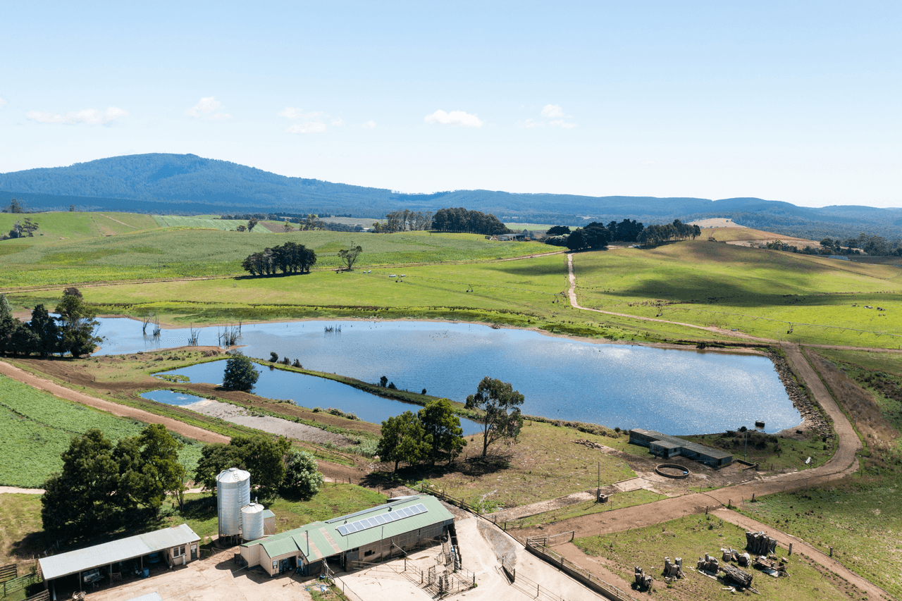 42 Main Street, WINNALEAH, TAS 7265