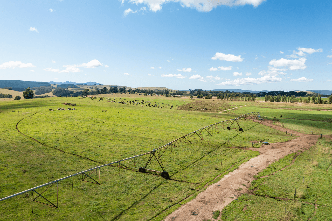 42 Main Street, WINNALEAH, TAS 7265