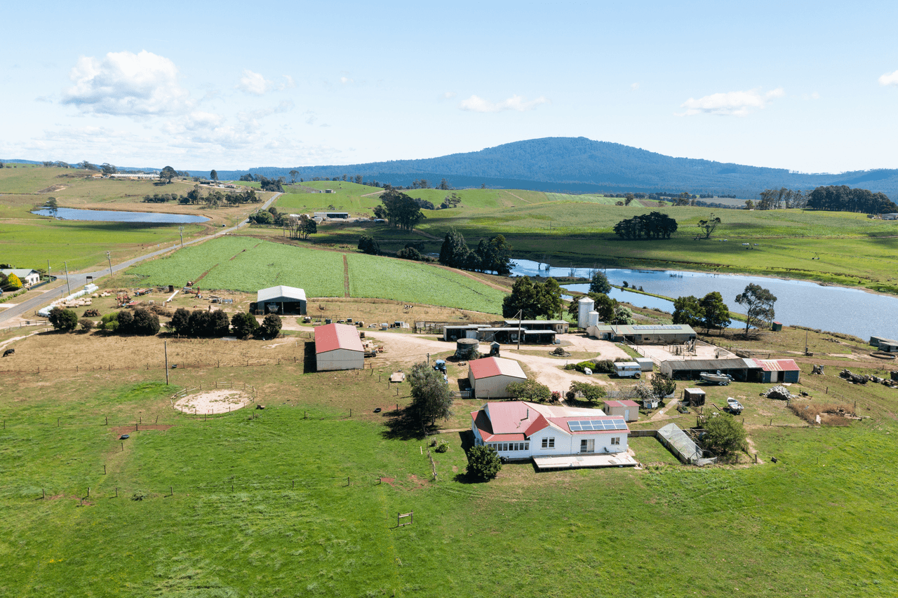 42 Main Street, WINNALEAH, TAS 7265