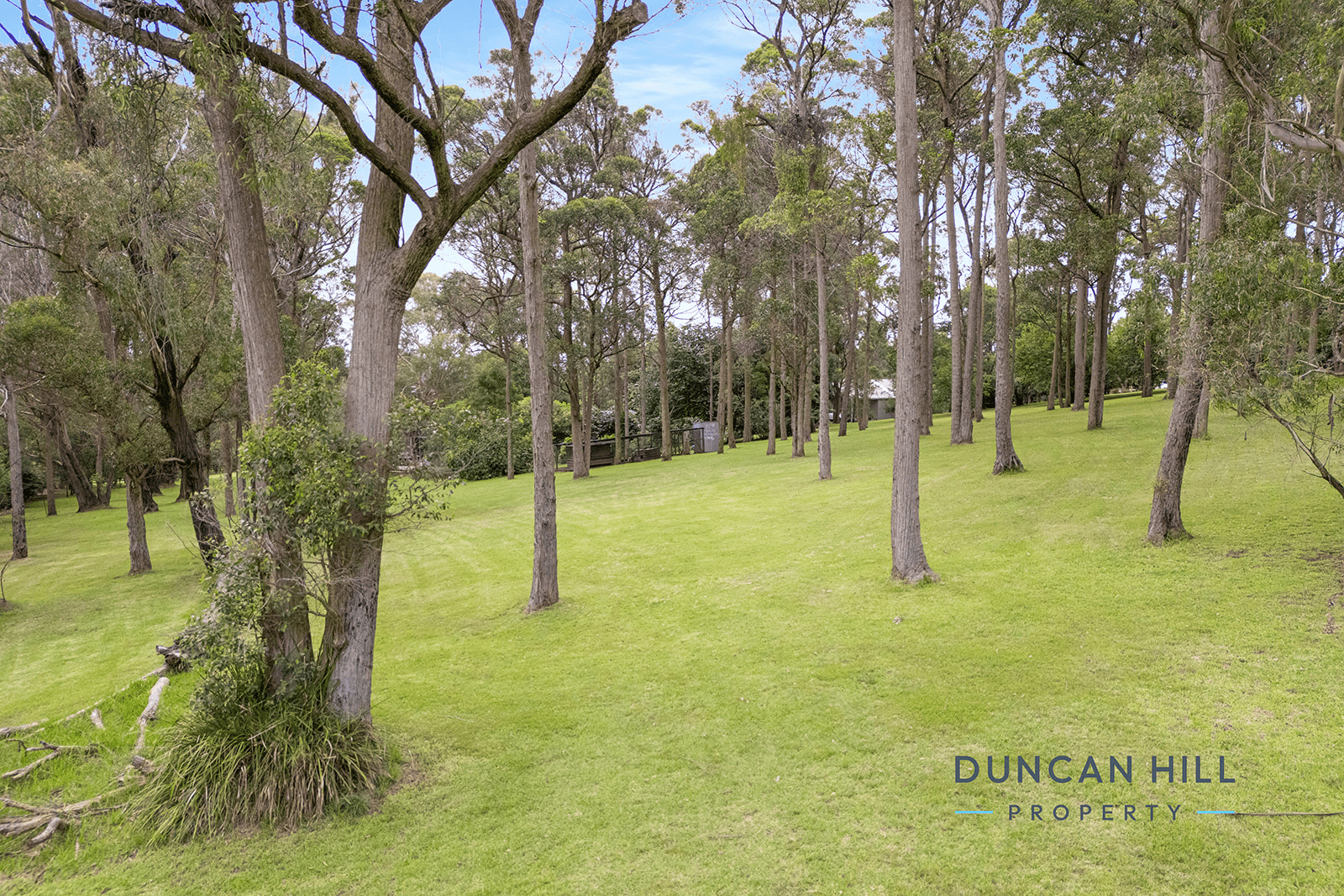 184 Old South Road, ALPINE, NSW 2575