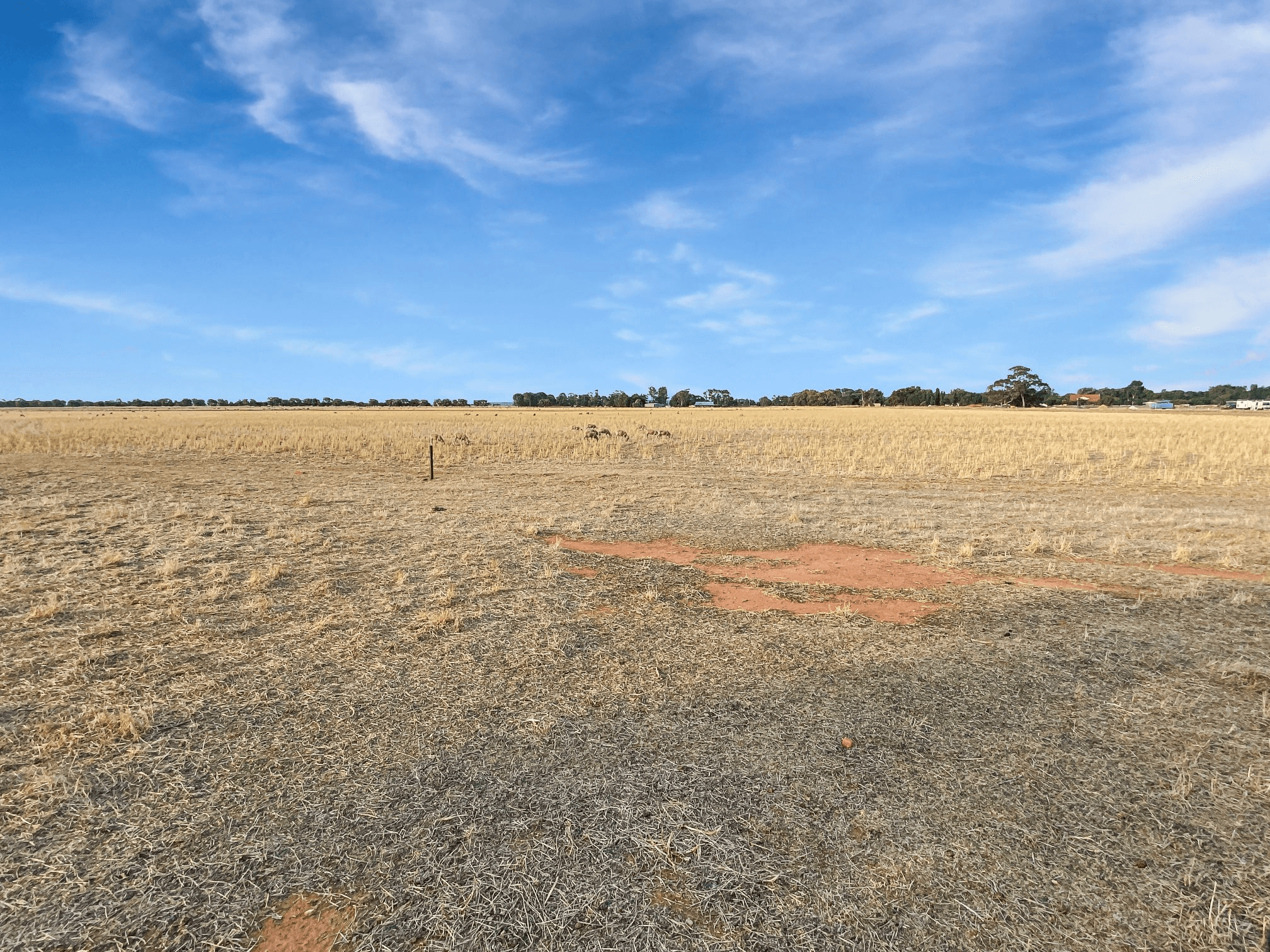 1845 Lonnie Road, LEETON, NSW 2705