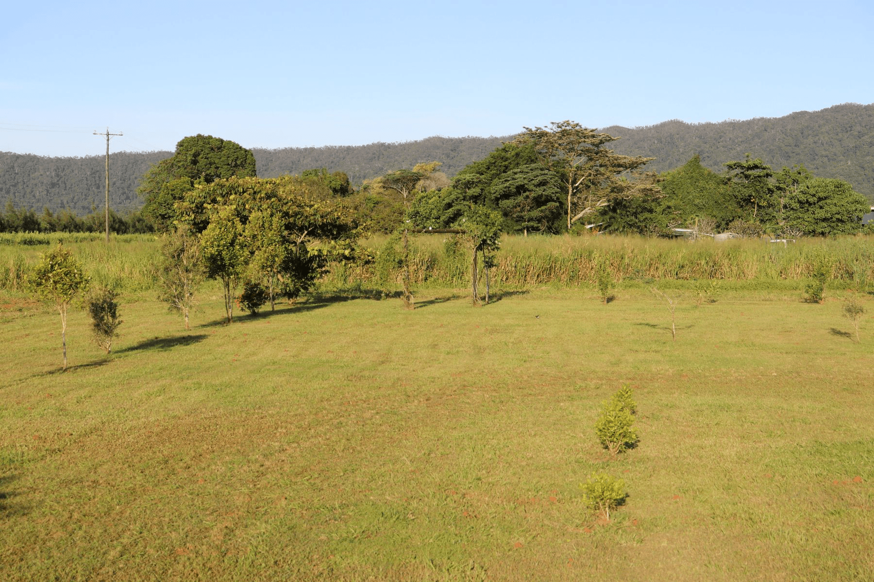 24 Polich Road, Mena Creek, QLD 4871