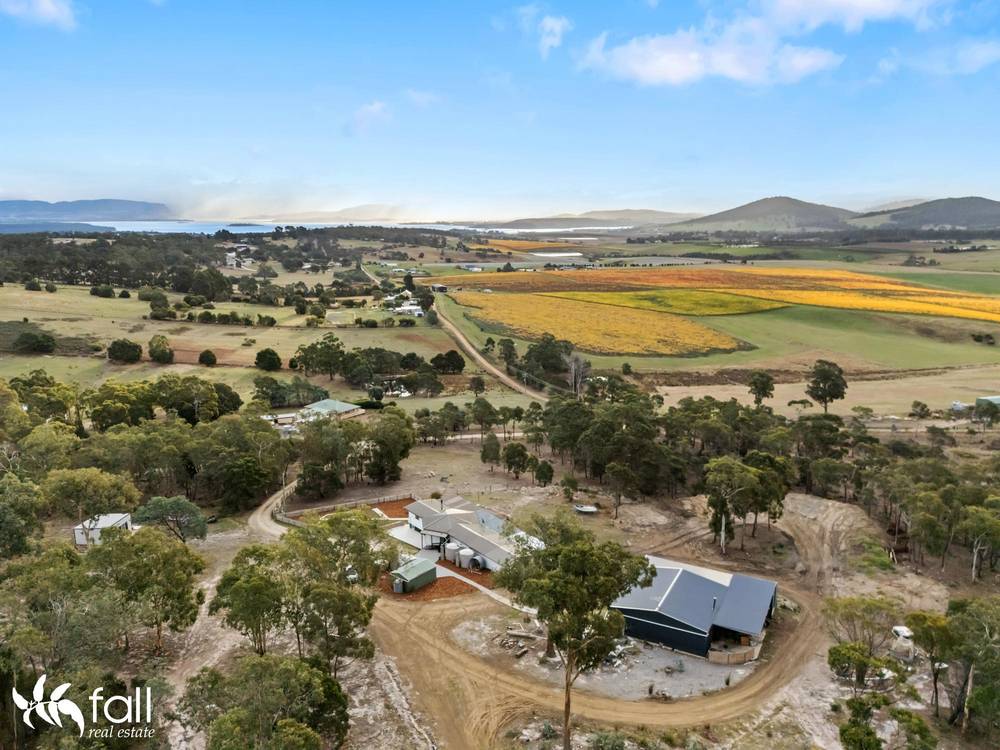 310 Gilling Brook Road, FORCETT, TAS 7173