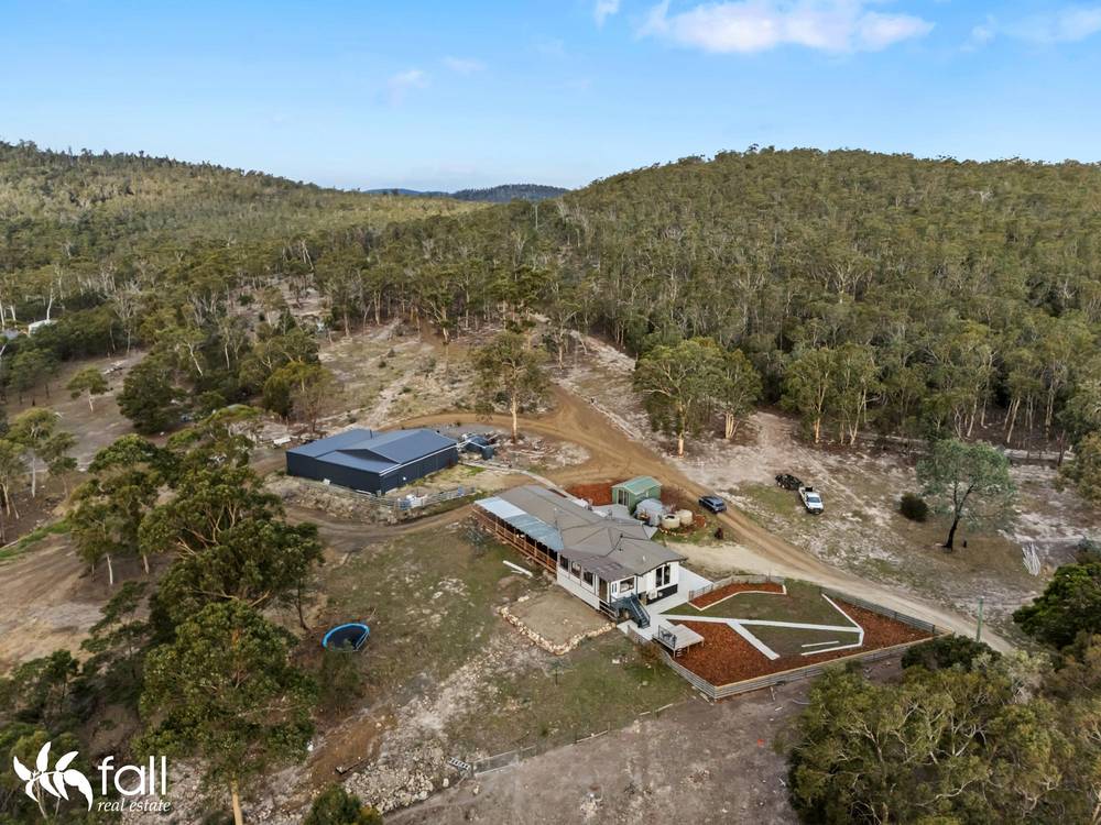 310 Gilling Brook Road, FORCETT, TAS 7173