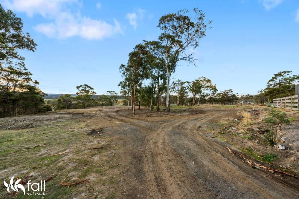 310 Gilling Brook Road, FORCETT, TAS 7173