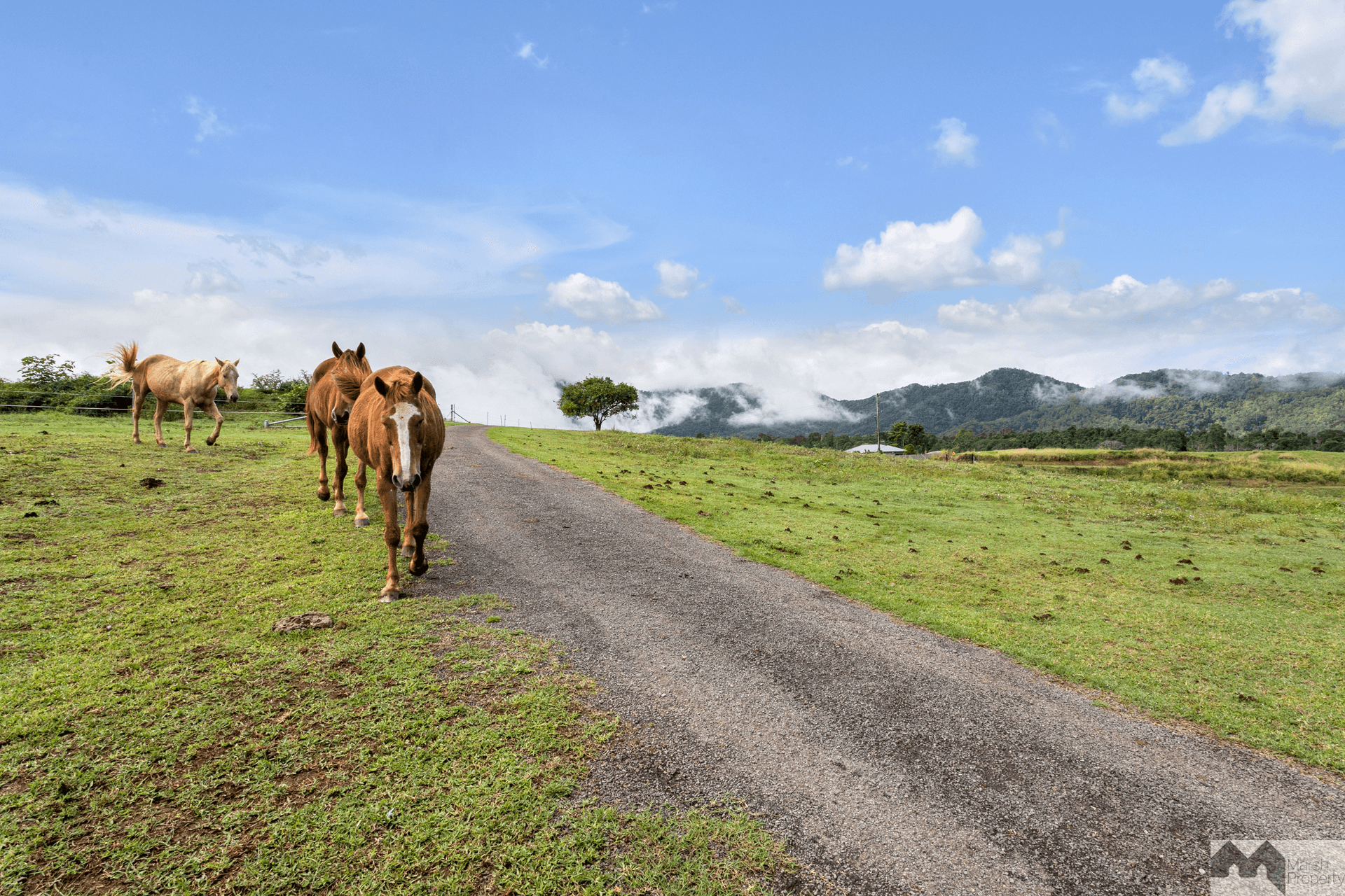 366 Goldsborough Road, Goldsborough, QLD 4865