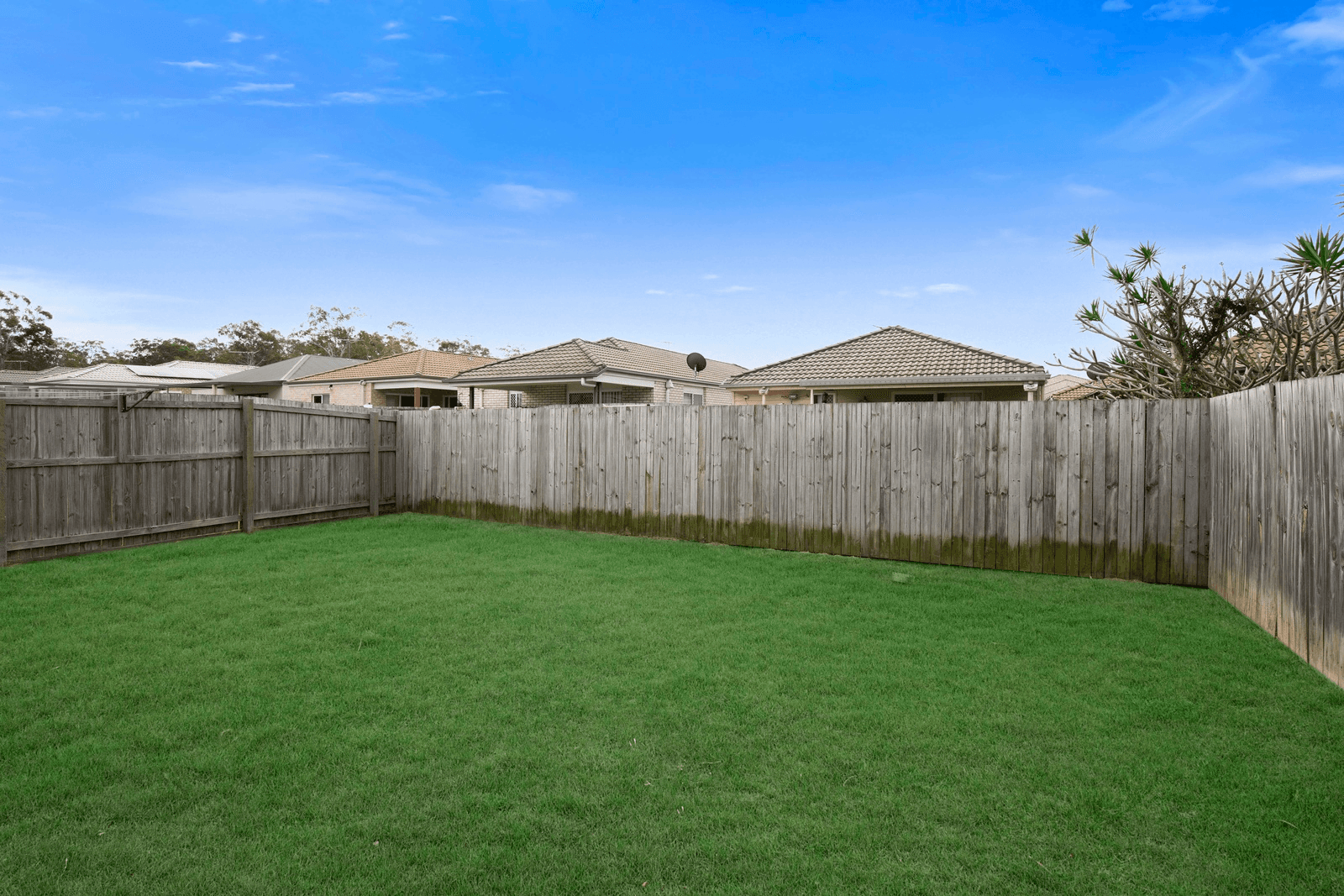 66 Jones Street, Rothwell, QLD 4022