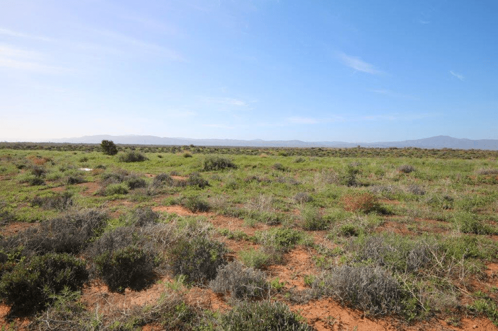 23 Tilling Road, Stirling North, SA 5710