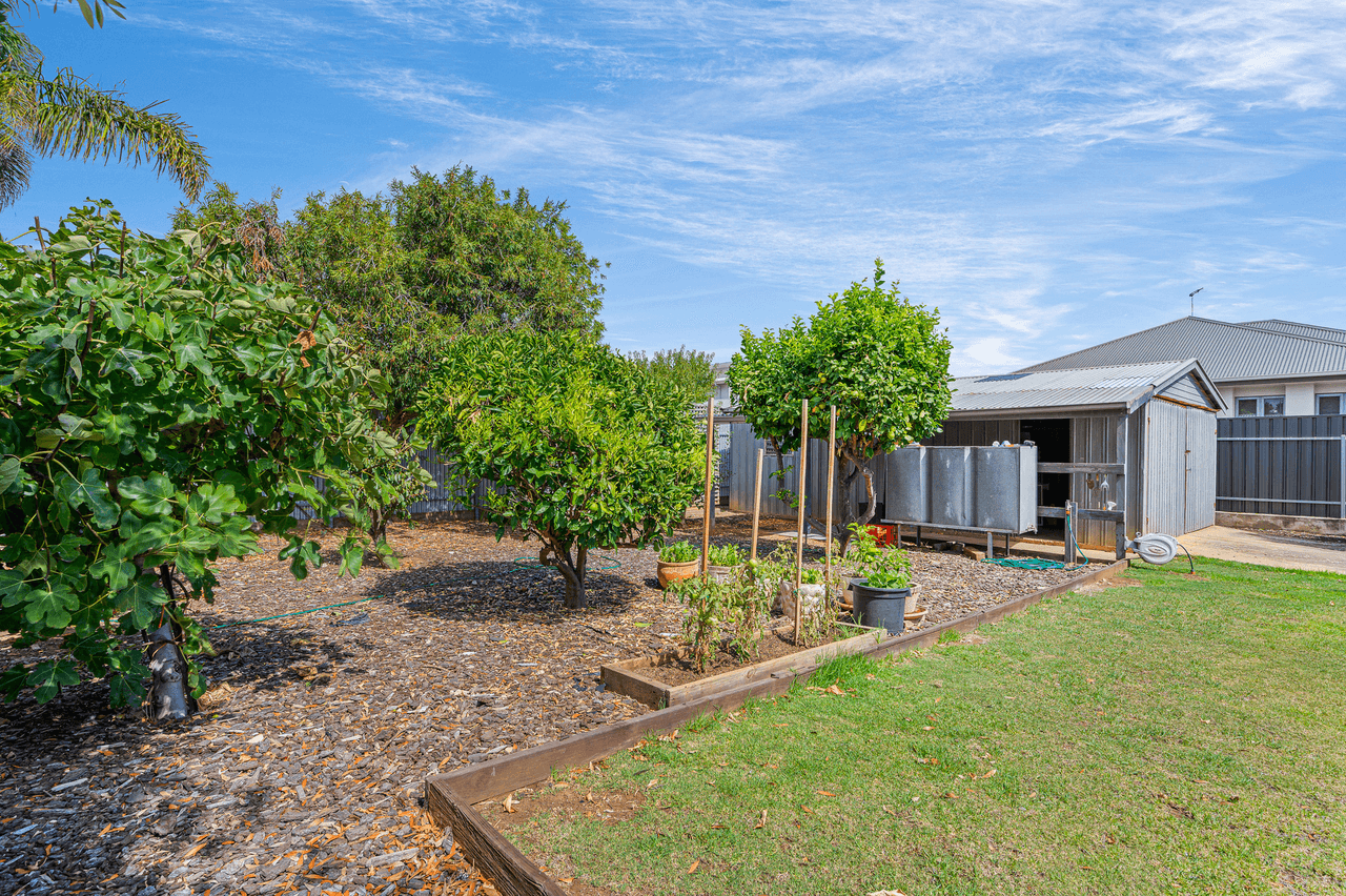 34 Clovelly Avenue, CHRISTIES BEACH, SA 5165