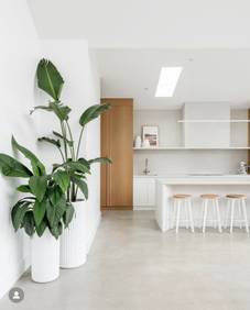 19 Drumcondra Avenue, Drumcondra, VIC 3215