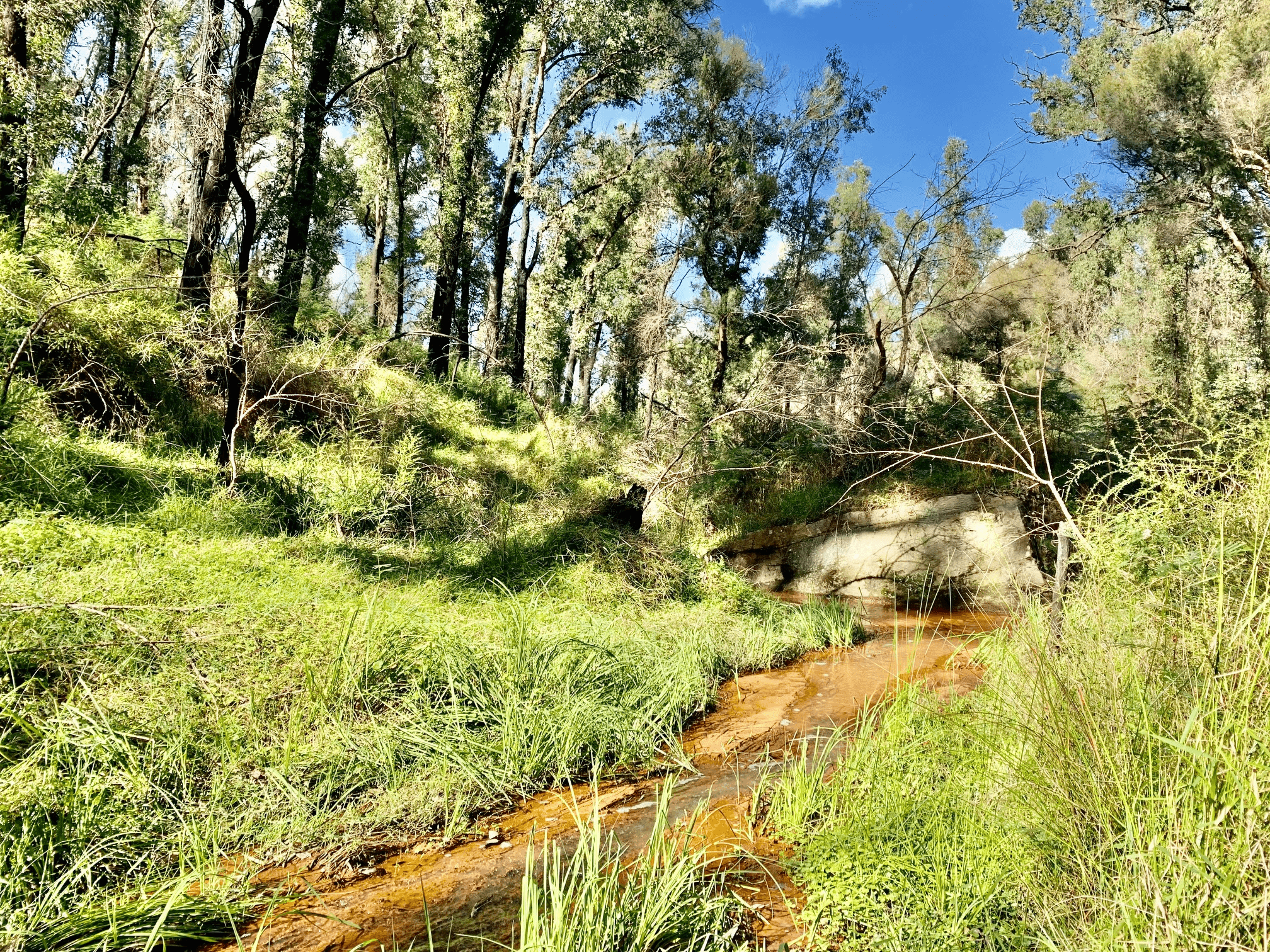 Lot 17 Putty Road, Howes Valley, NSW 2330