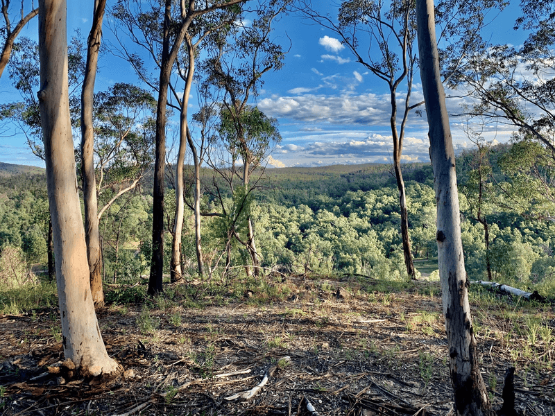 Lot 17 Putty Road, Howes Valley, NSW 2330