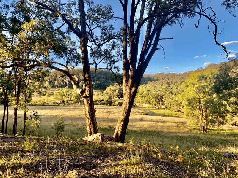 Lot 17 Putty Road, Howes Valley, NSW 2330