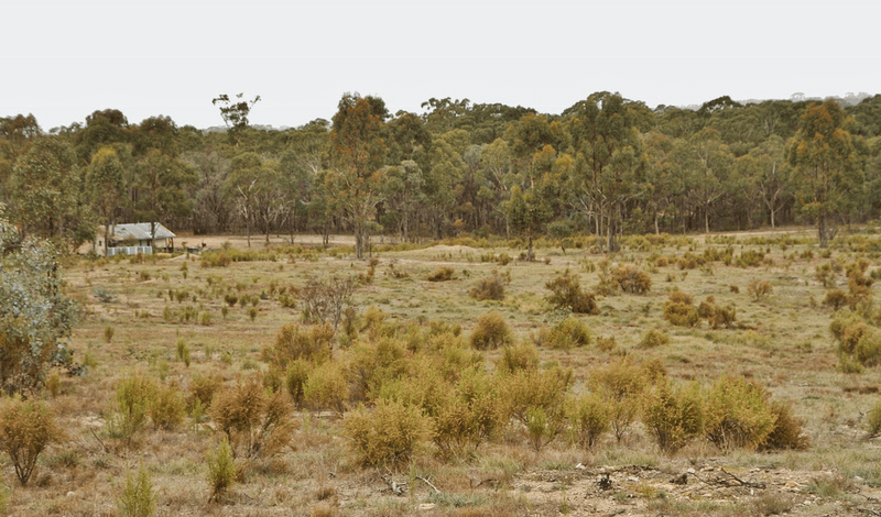 55 Carboon Lane, HEATHCOTE, VIC 3523