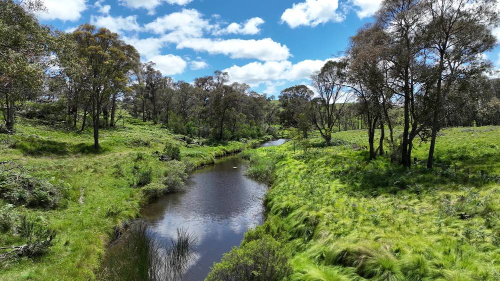 4291 Pinkett Road, RED RANGE, NSW 2370