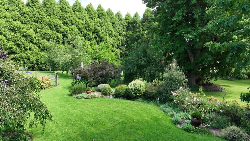 4291 Pinkett Road, RED RANGE, NSW 2370