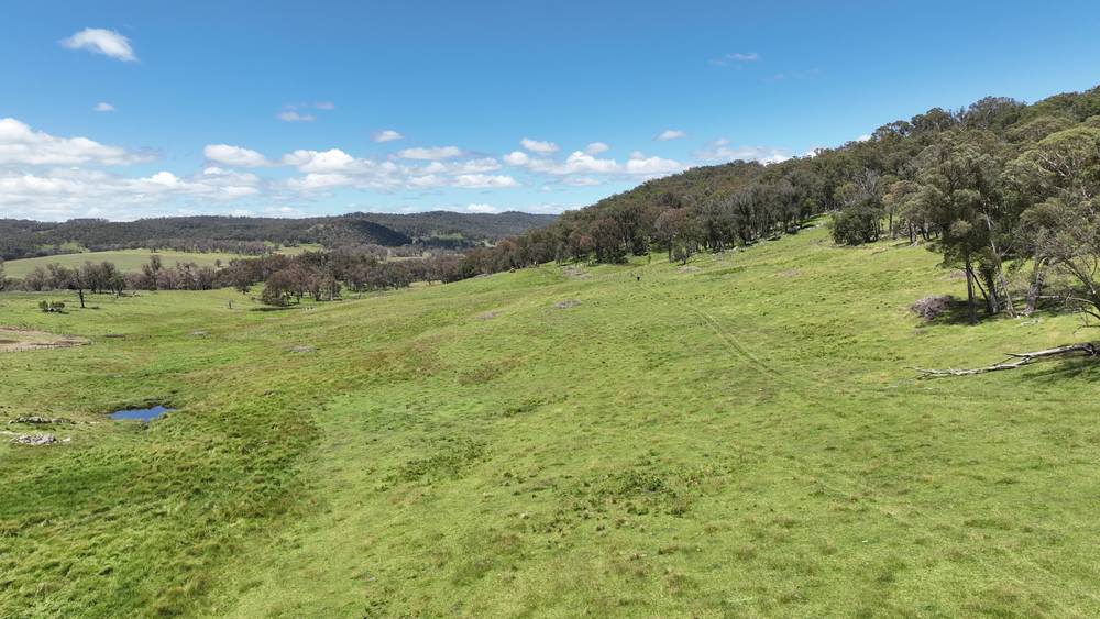4291 Pinkett Road, RED RANGE, NSW 2370