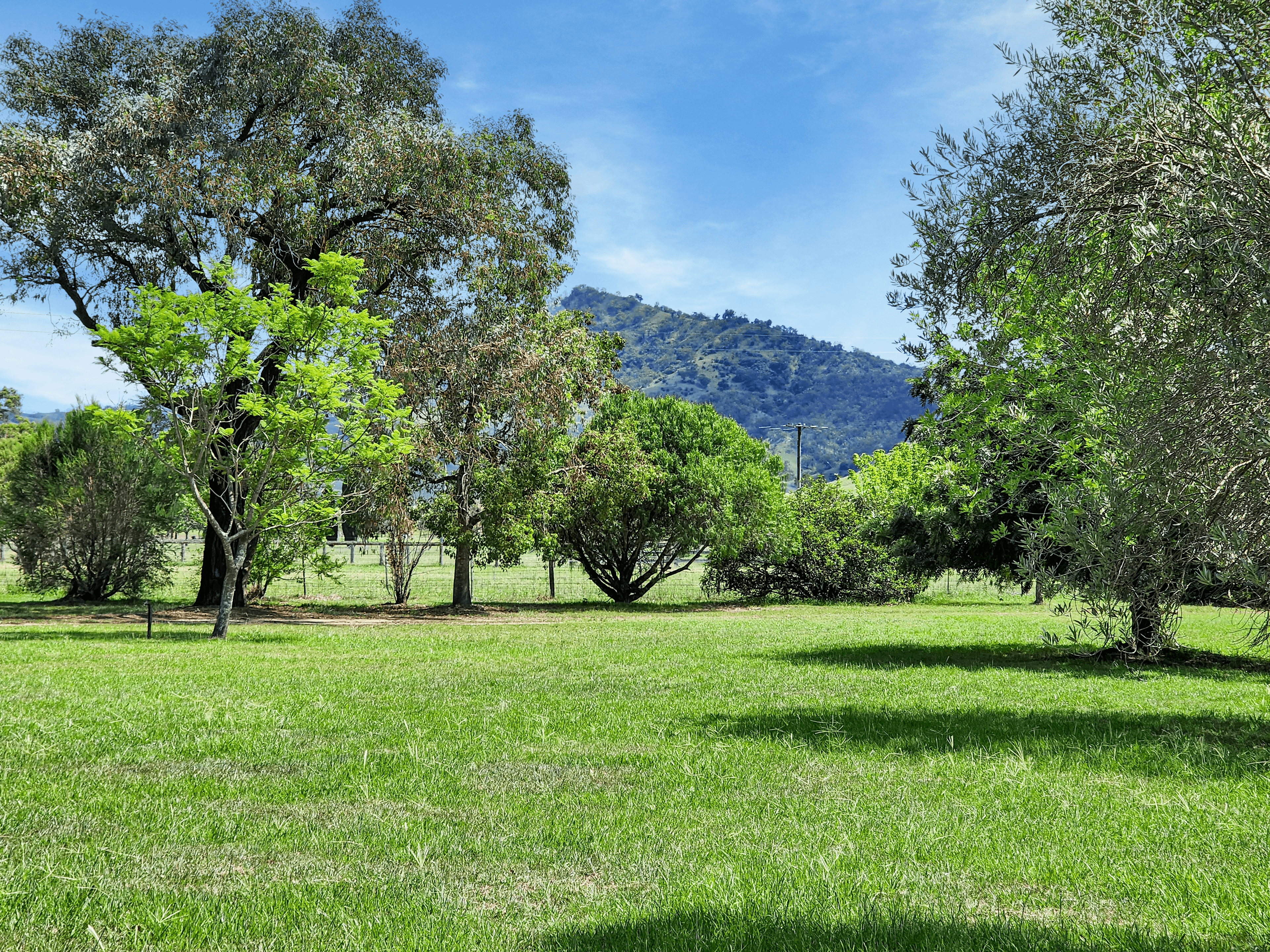 1315 Sandy Creek Road, McCullys Gap, NSW 2333