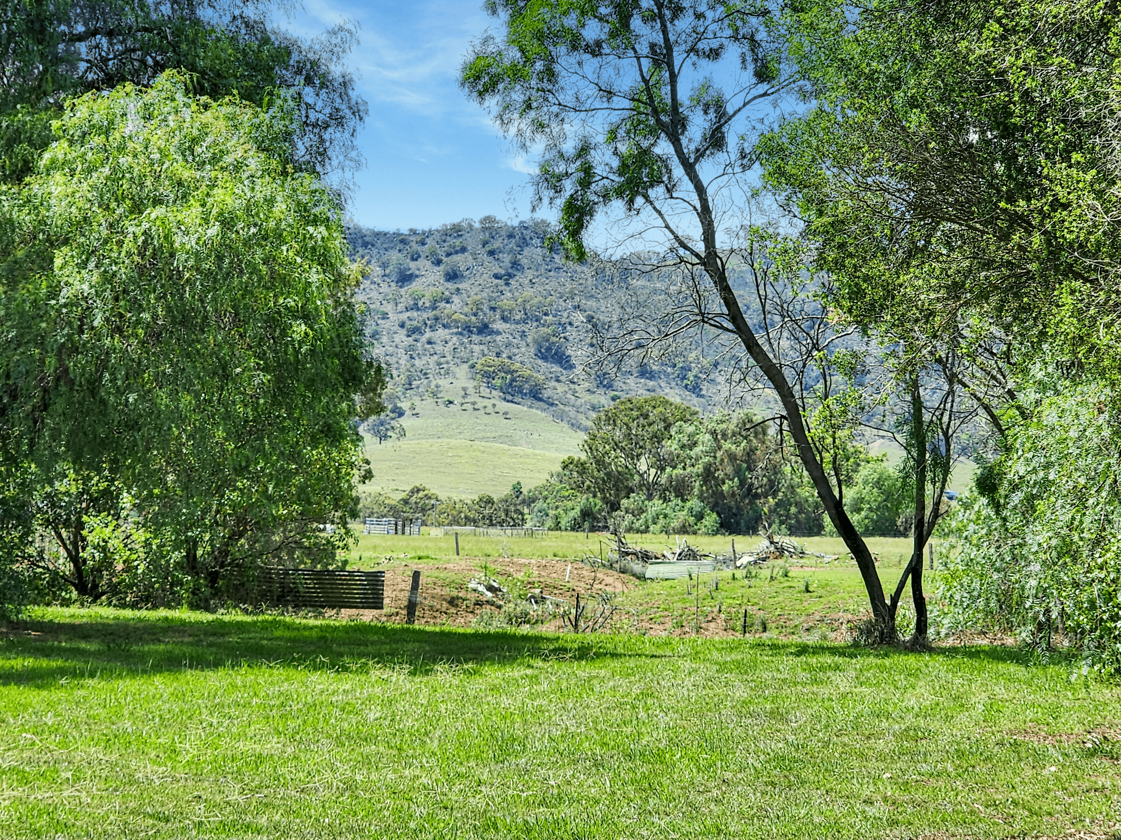 1315 Sandy Creek Road, McCullys Gap, NSW 2333