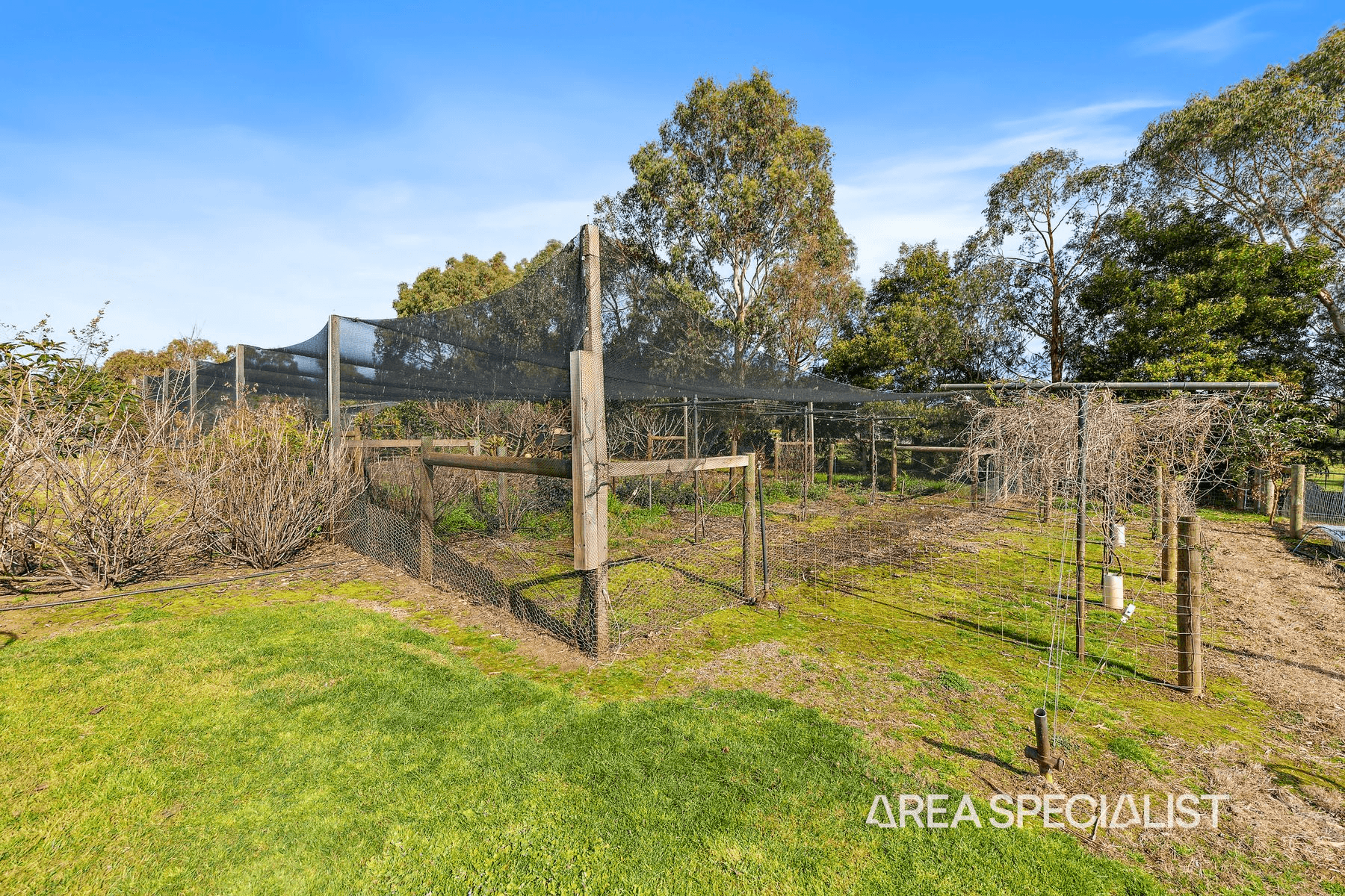 8 Maurandra Close, Hastings, VIC 3915