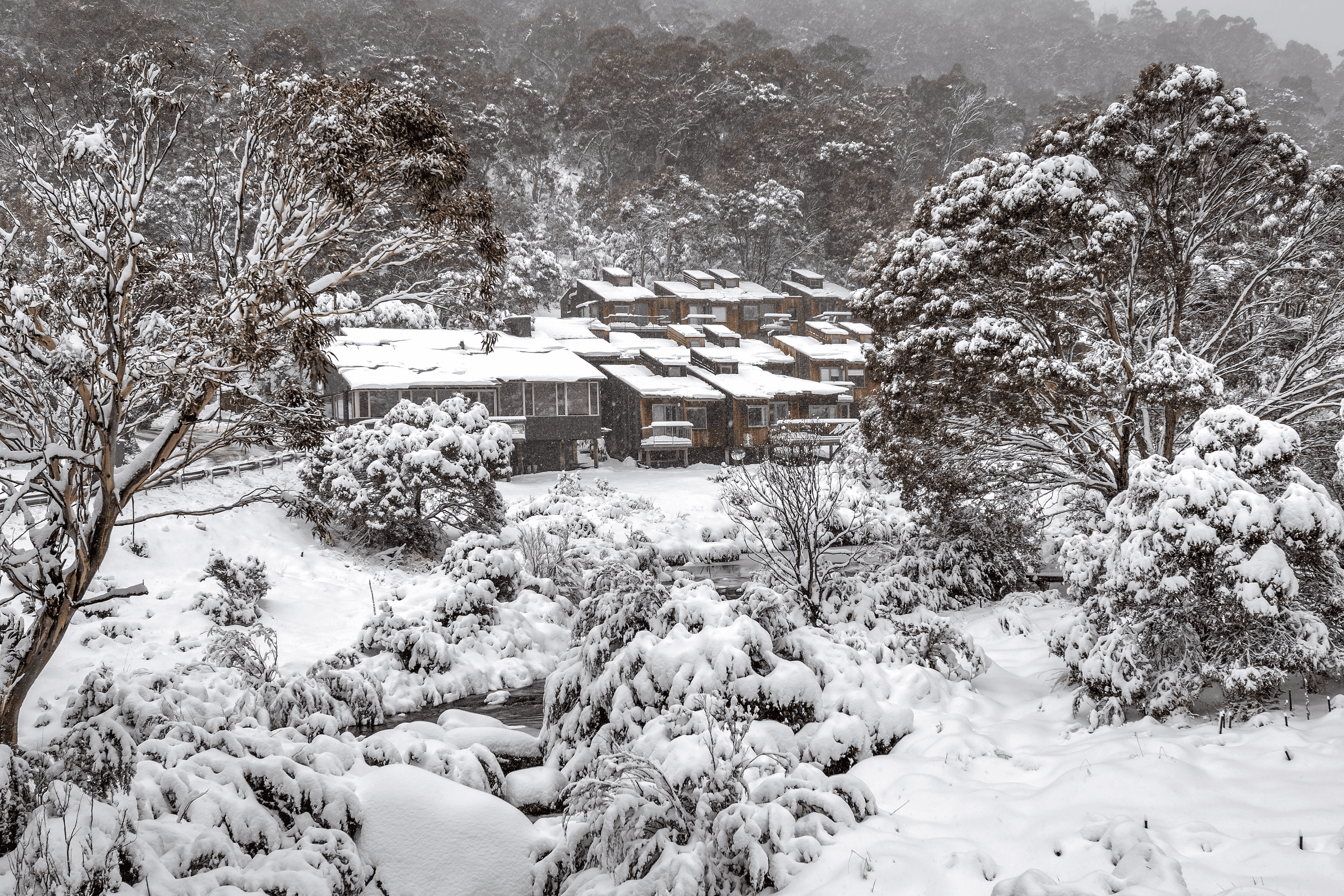 55/Riverside Cabin Diggings Terrace, Thredbo, NSW 2625