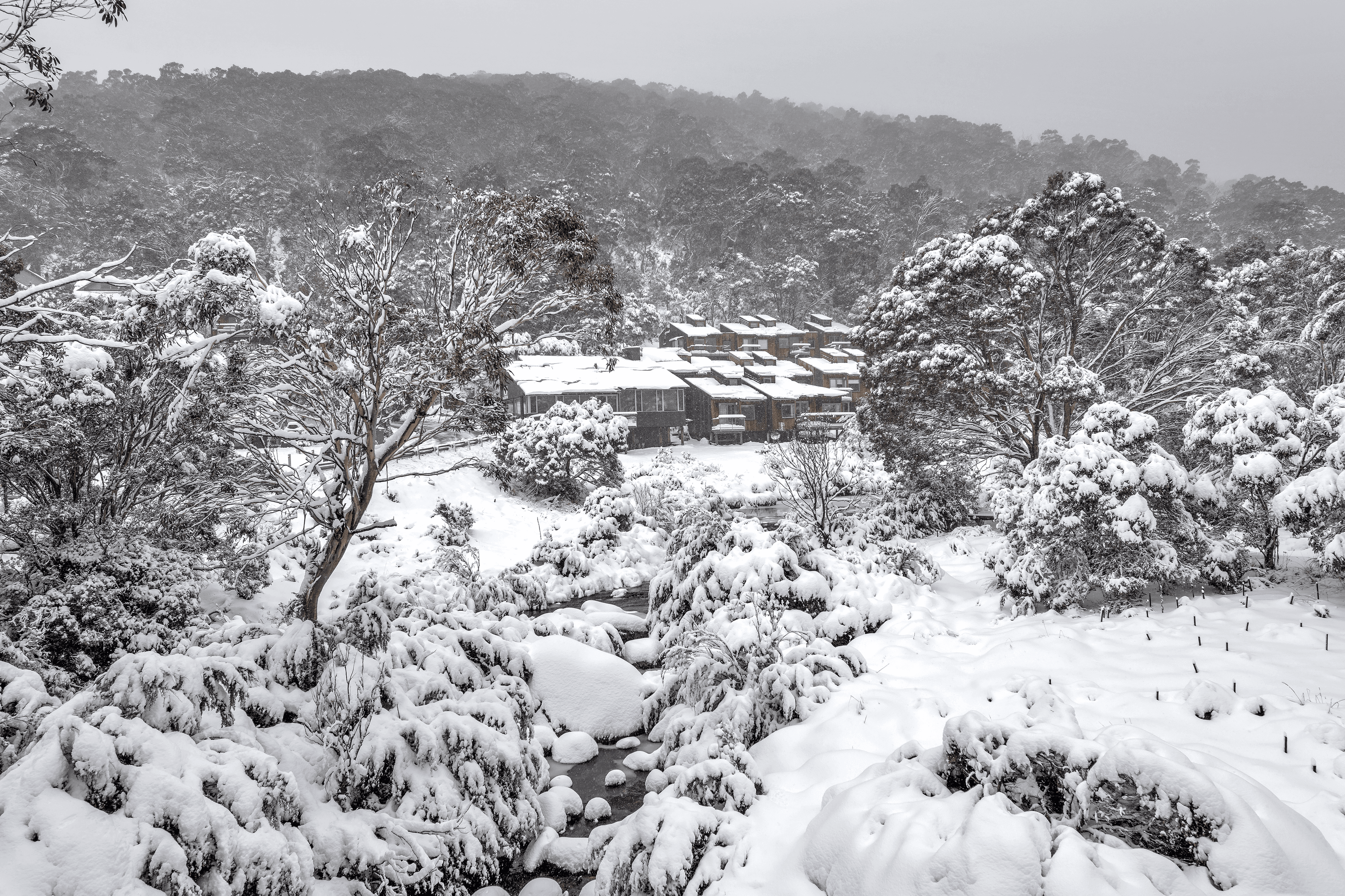 55/Riverside Cabin Diggings Terrace, Thredbo, NSW 2625