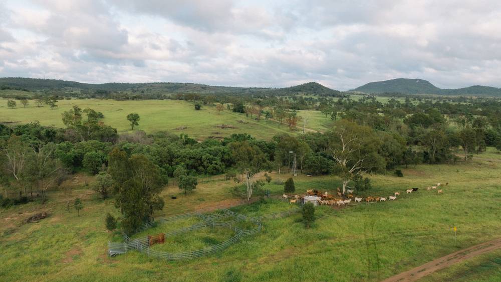 124 Lee Farm Road, Bushley, QLD 4702