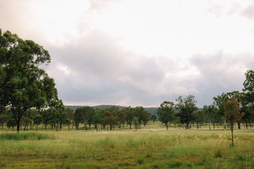 124 Lee Farm Road, Bushley, QLD 4702