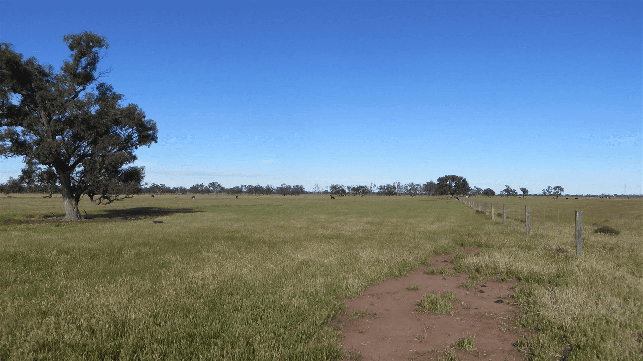 3739 Loddon Valley Highway, KERANG, VIC 3579