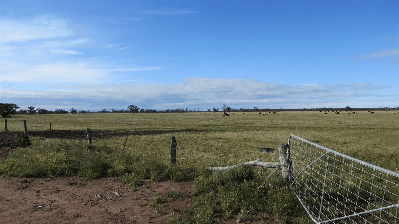 3739 Loddon Valley Highway, KERANG, VIC 3579