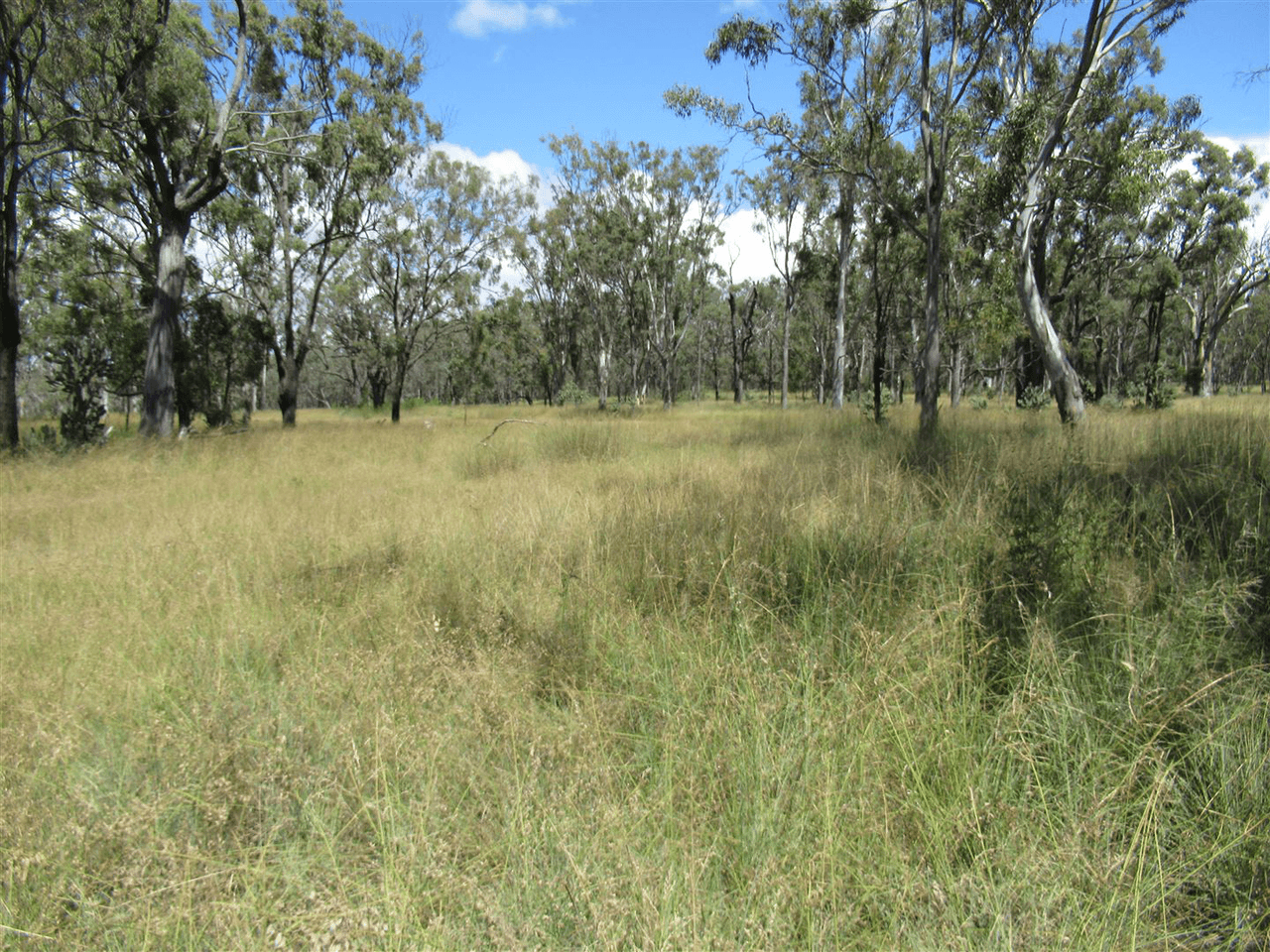 Lot 11 Hendon Victoria Hill Road, OLD TALGAI, QLD 4370