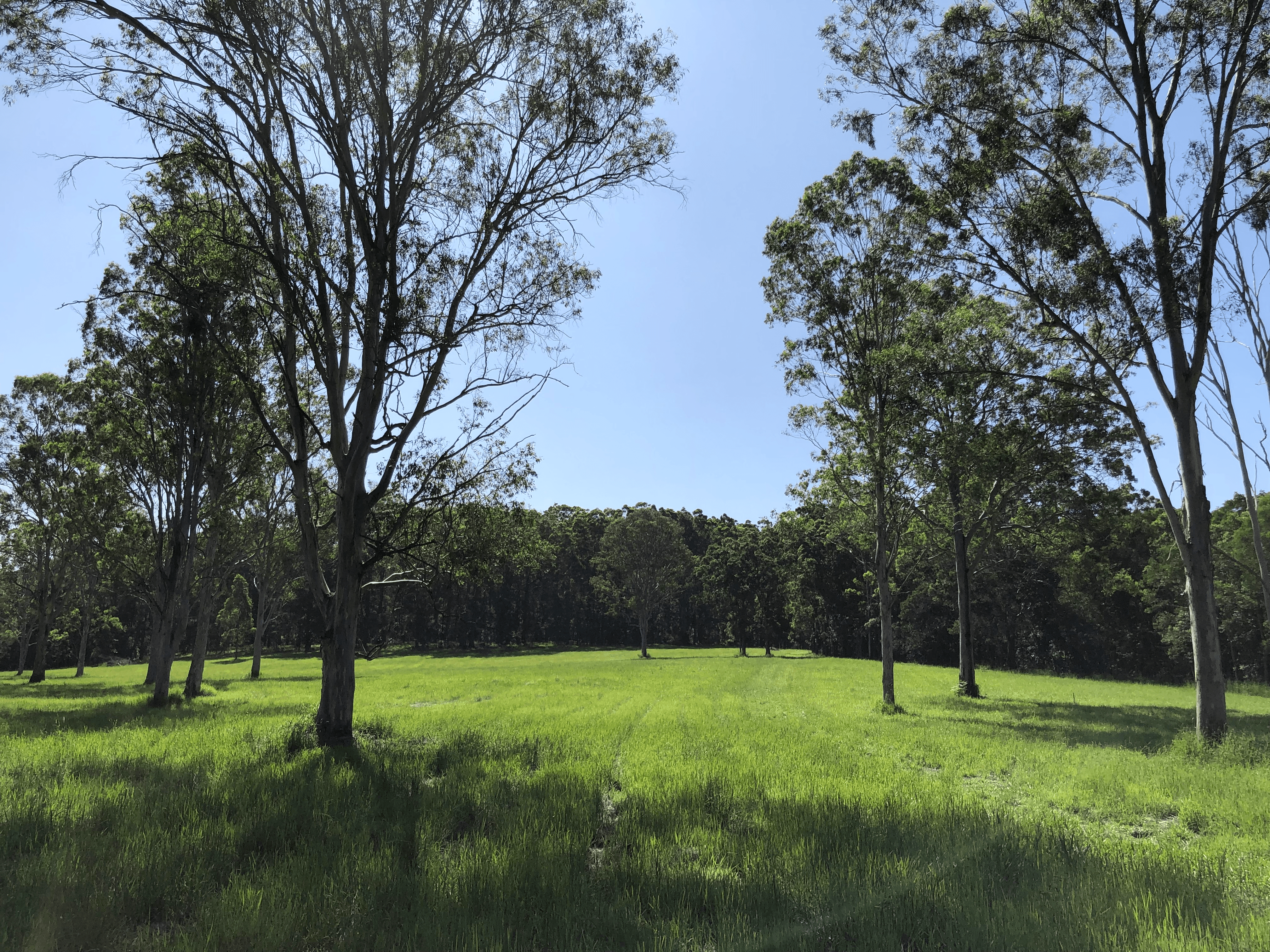 79-89 Melaleuca Lane, COOTHARABA, QLD 4565