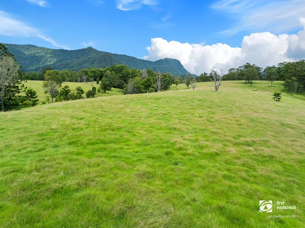 24 Midginbil Road, Midginbil, NSW 2484