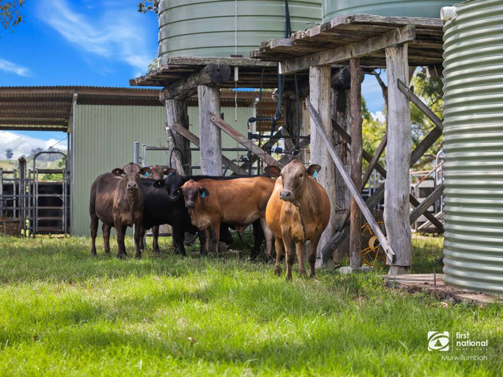24 Midginbil Road, Midginbil, NSW 2484