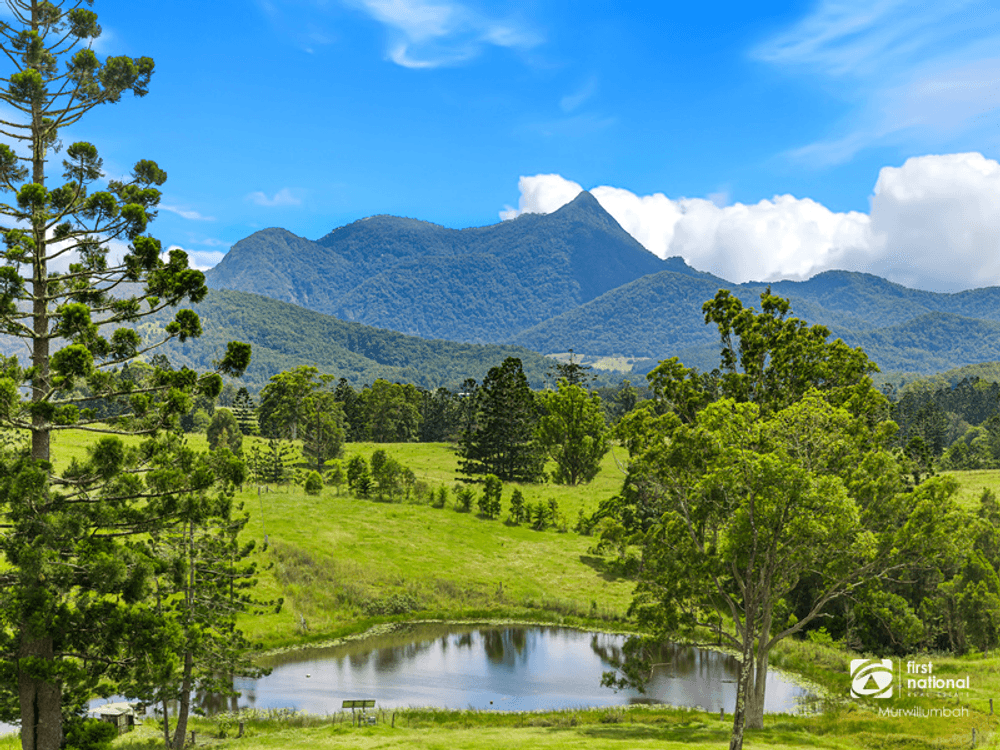 24 Midginbil Road, Midginbil, NSW 2484