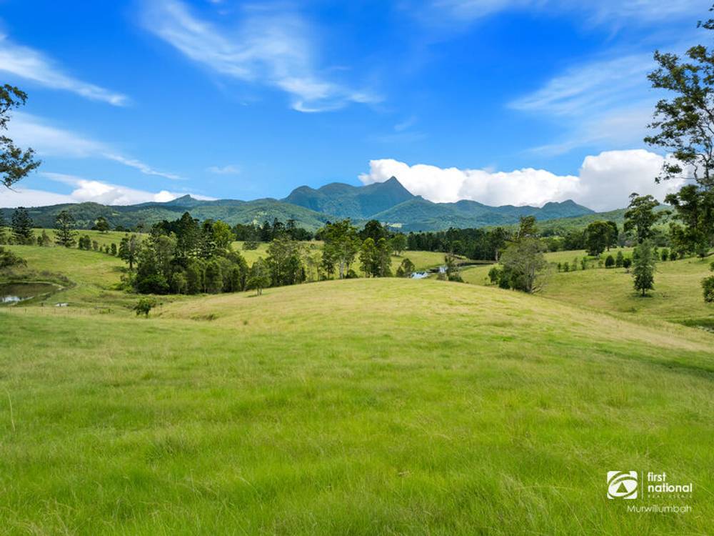 24 Midginbil Road, Midginbil, NSW 2484