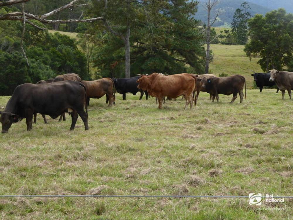 24 Midginbil Road, Midginbil, NSW 2484
