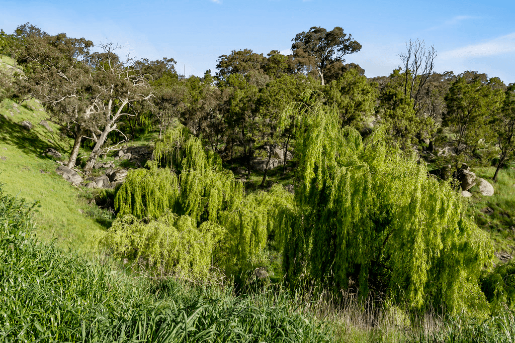 108 Curries Lane, EUROA, VIC 3666