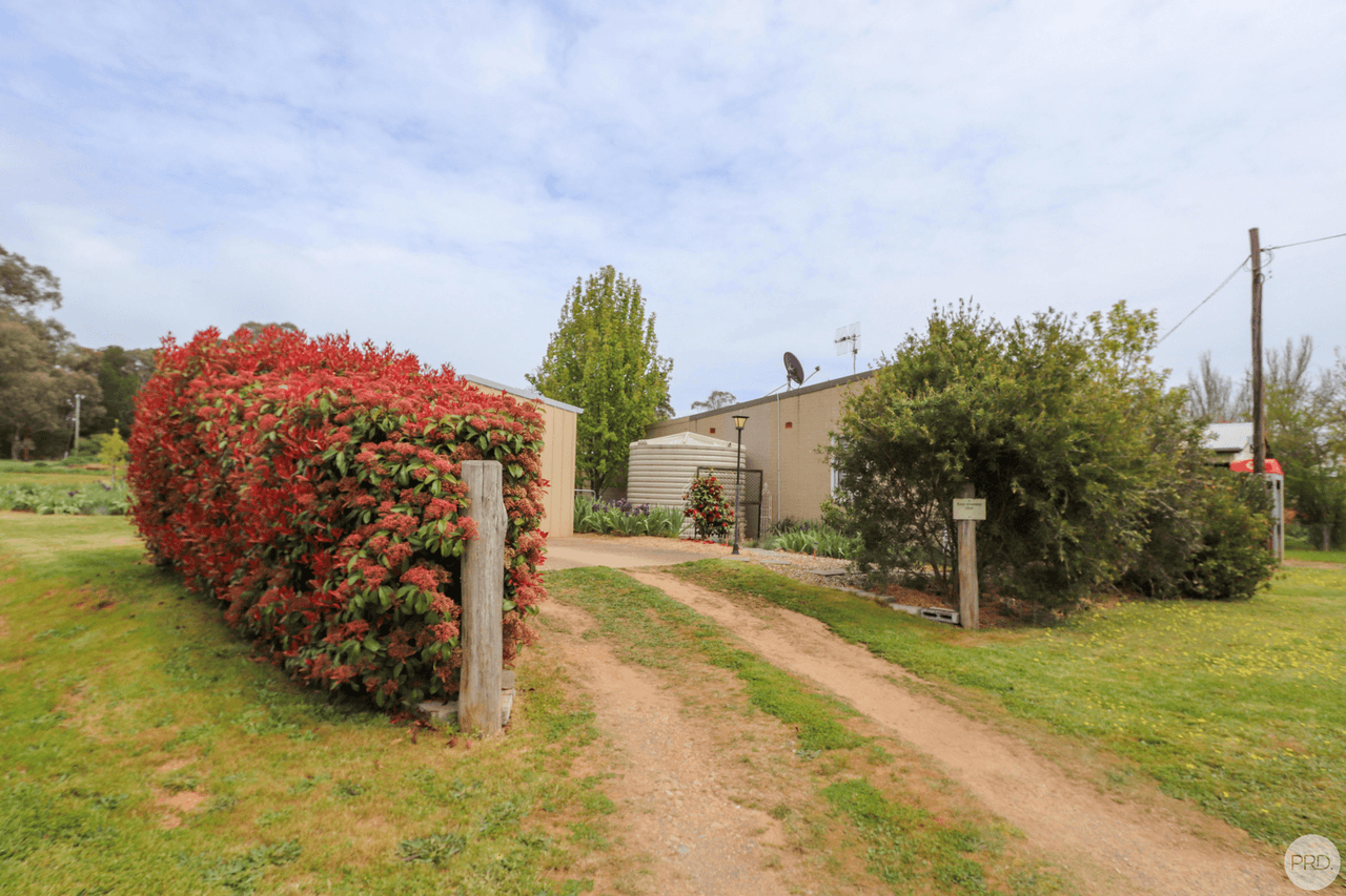 1639 Wagga Road, TUMBARUMBA, NSW 2653