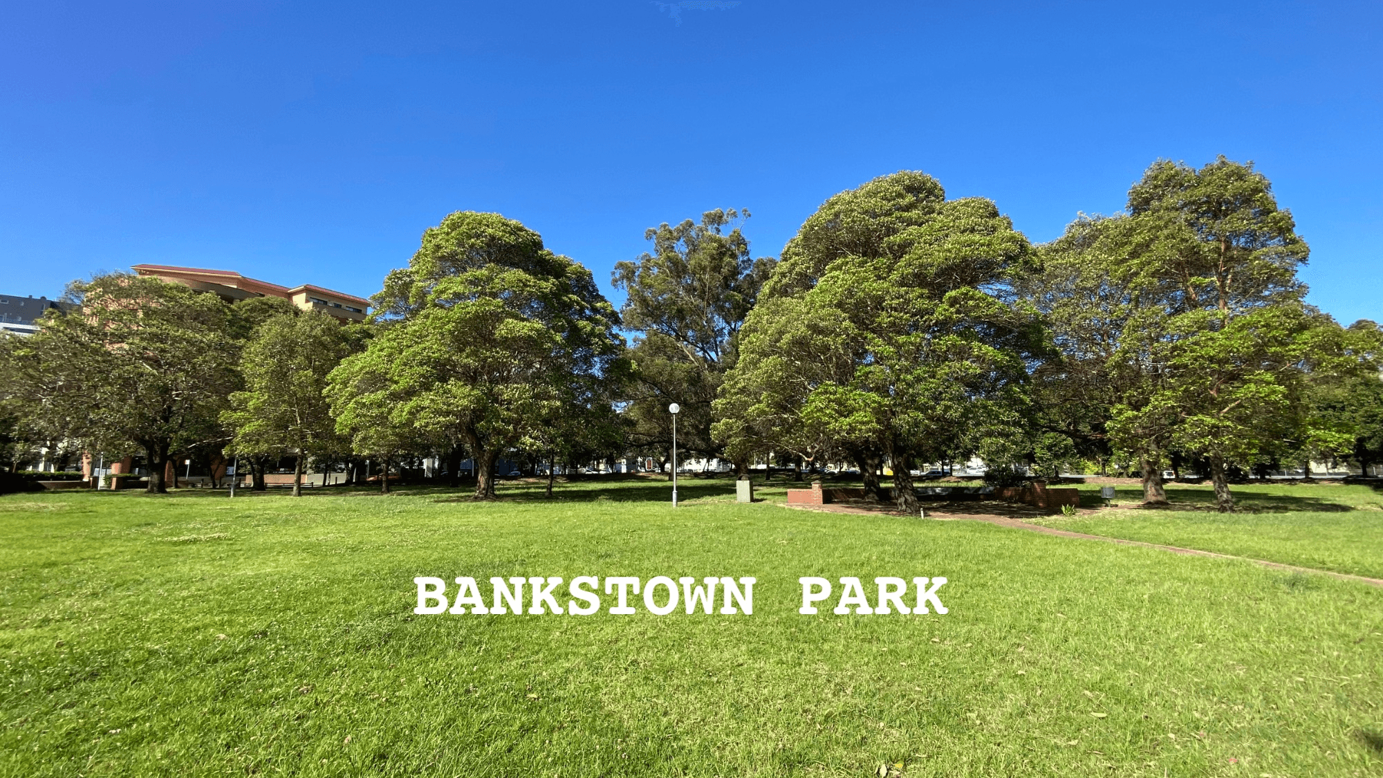 SSC01A Proposed Road, BANKSTOWN, NSW 2200