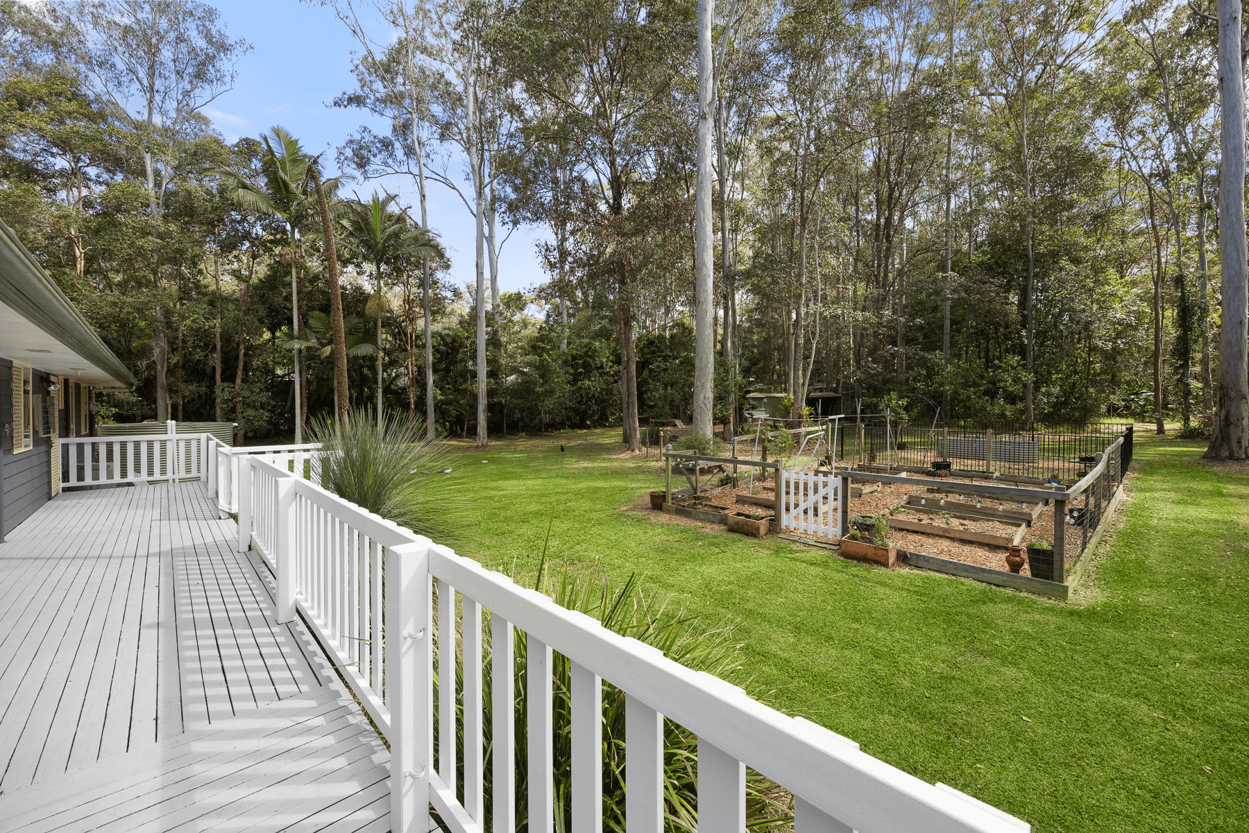 131 Cudgerie Drive, BLACK MOUNTAIN, QLD 4563