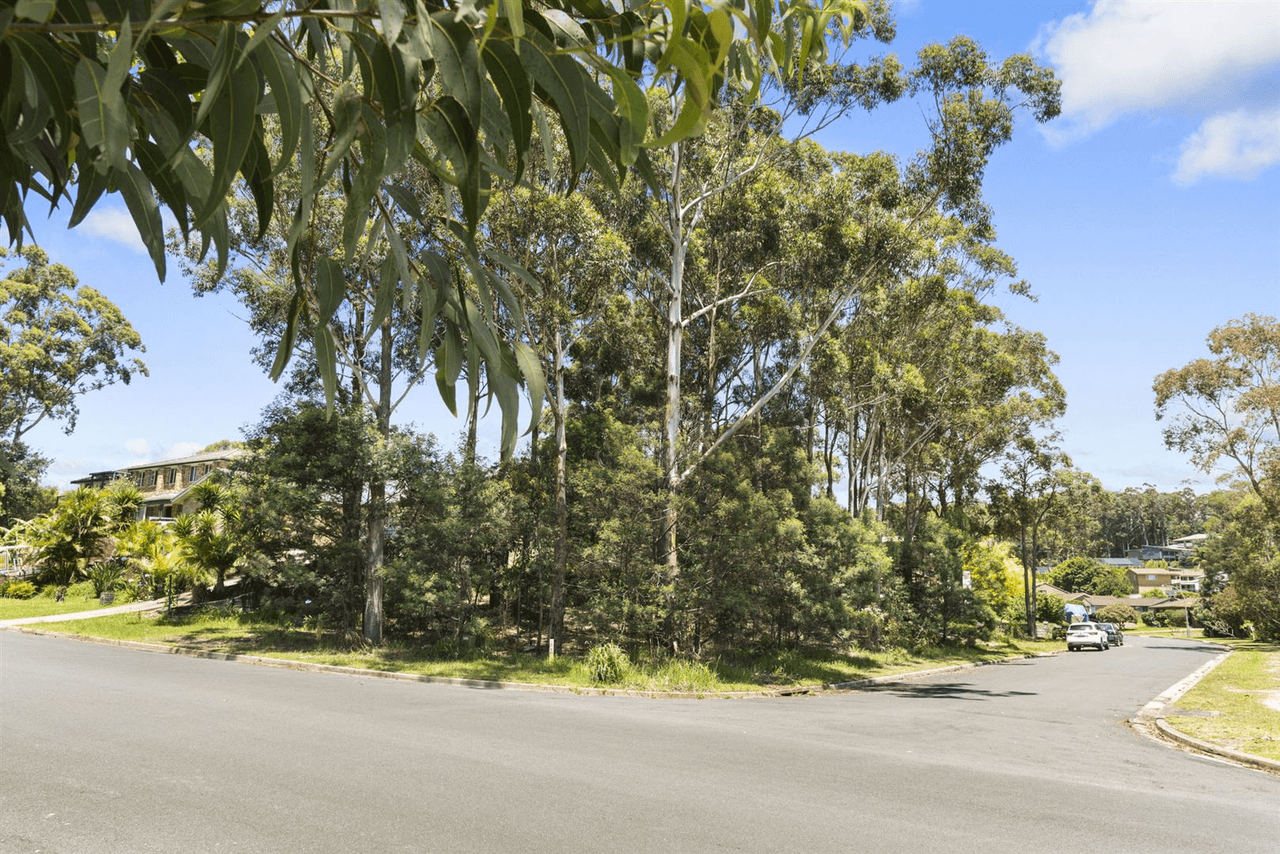 55 Leo Drive, Narrawallee, NSW 2539