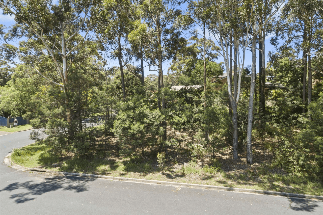 55 Leo Drive, Narrawallee, NSW 2539