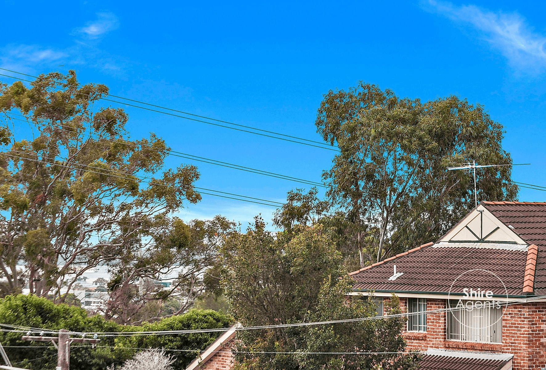 41/137-141 Willarong Road, CARINGBAH, NSW 2229