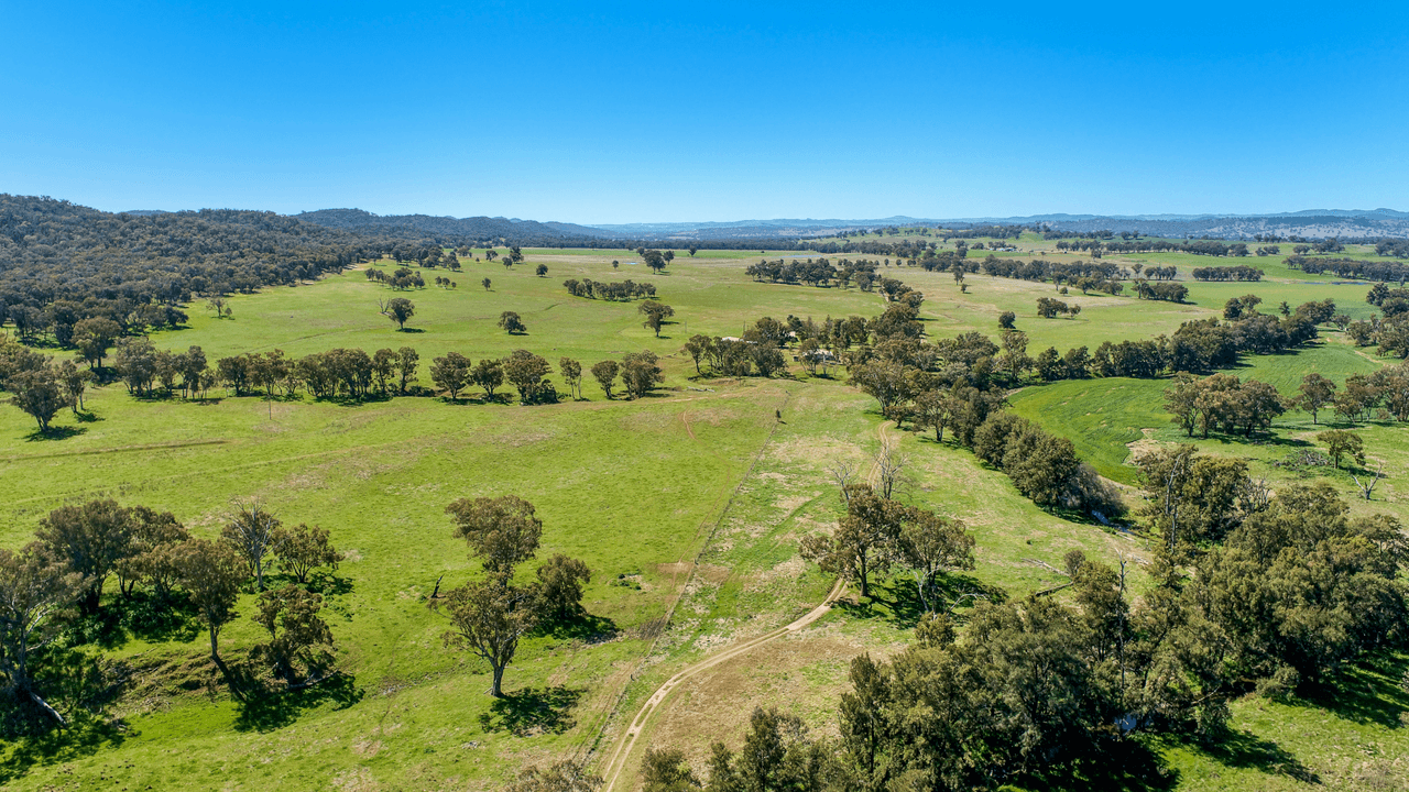 678 Blathery Creek Road Neurea via, WELLINGTON, NSW 2820