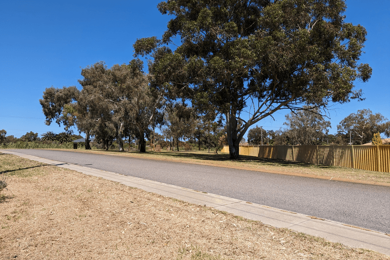 16 Denham Street, Spearwood, WA 6163