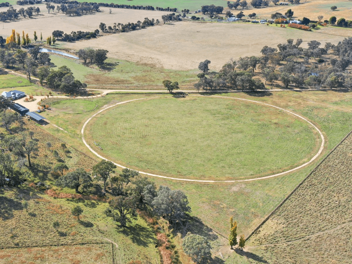 187 Milly Milly Lane, YOUNG, NSW 2594