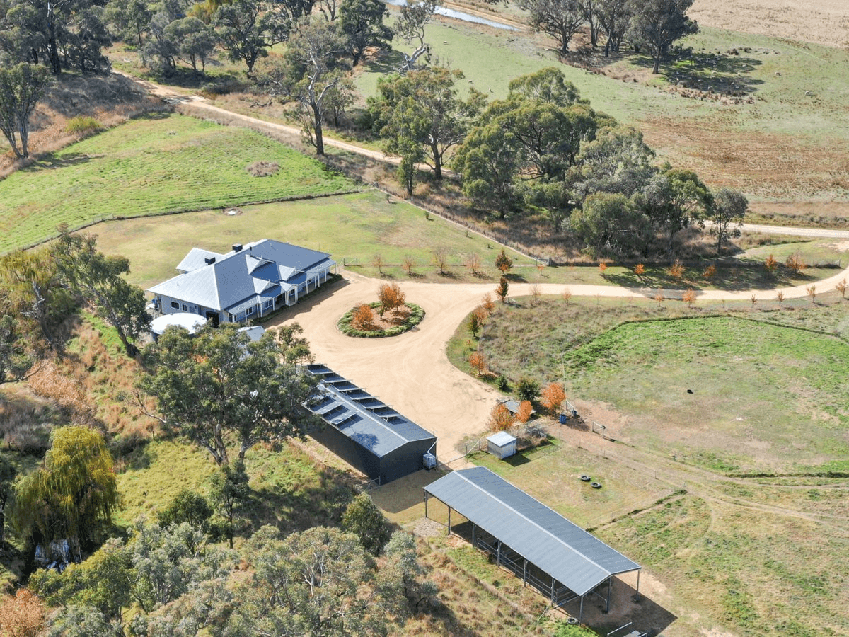 187 Milly Milly Lane, YOUNG, NSW 2594