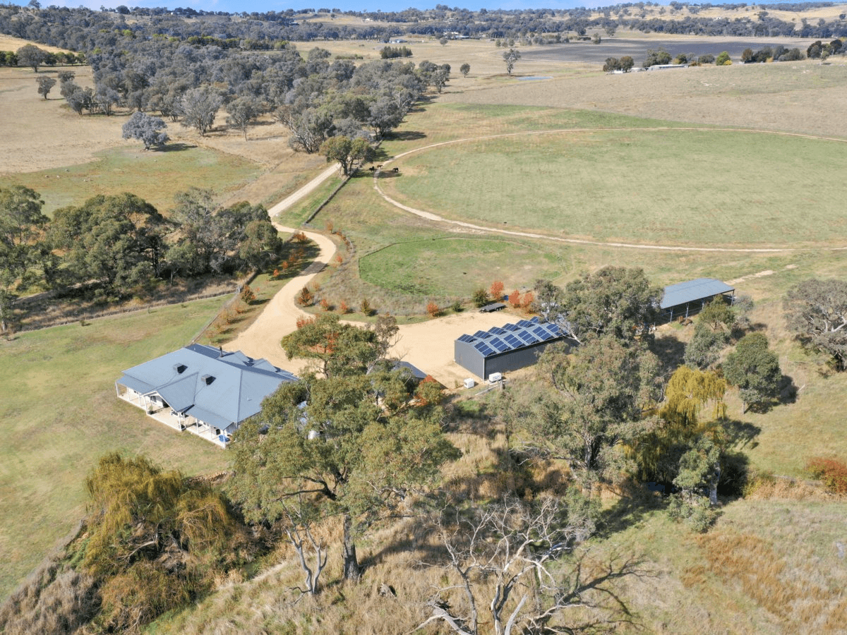 187 Milly Milly Lane, YOUNG, NSW 2594