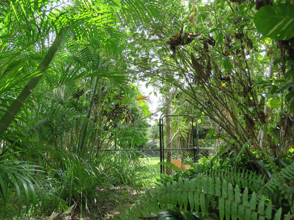 18 Hibiscus Ave, Trunding, QLD 4874